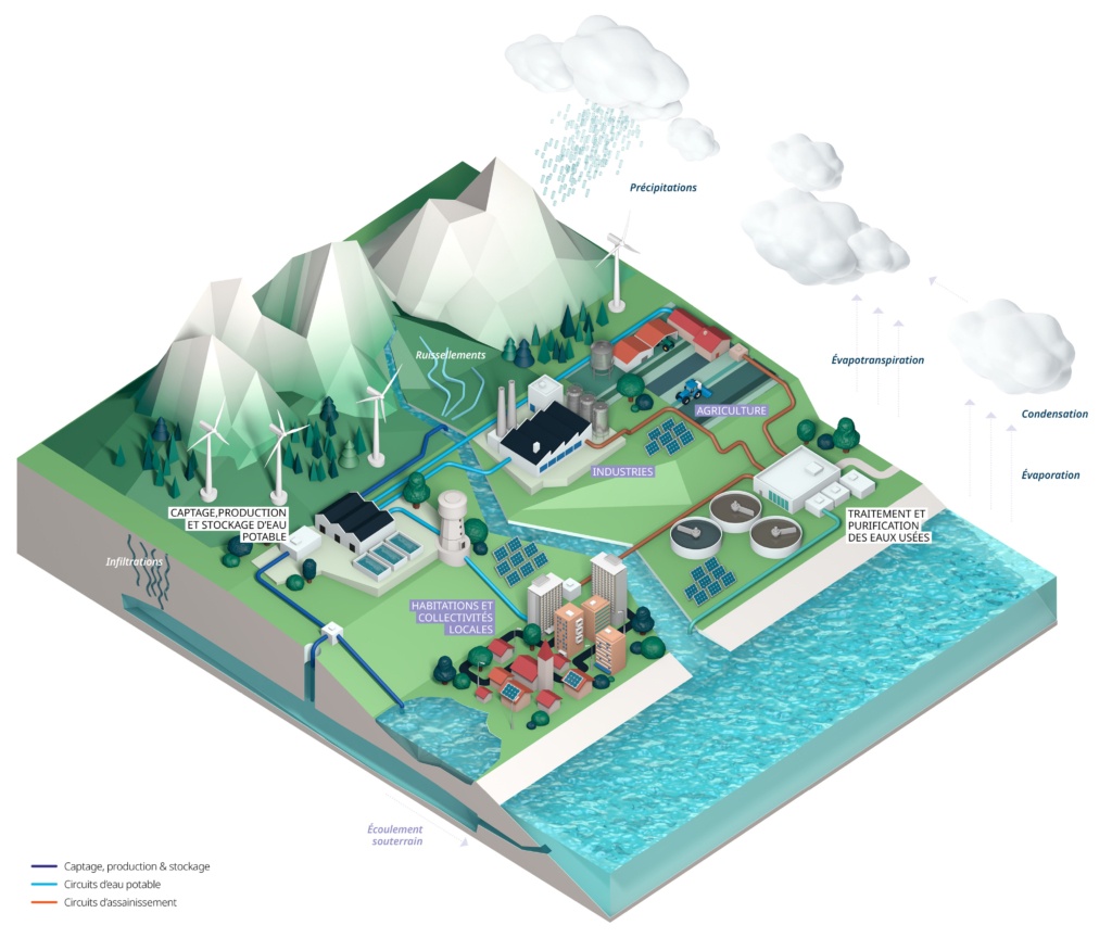 Infographie du cycle de l'eau